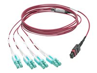 Tripp Lite MTP/MPO to 8xLC Fan-Out Patch Cable, 40 GbE, 40GBASE-SR4, OM4 Plenum-Rated, Push/Pull Tab, Magenta, 2 m (6.6 ft.) 