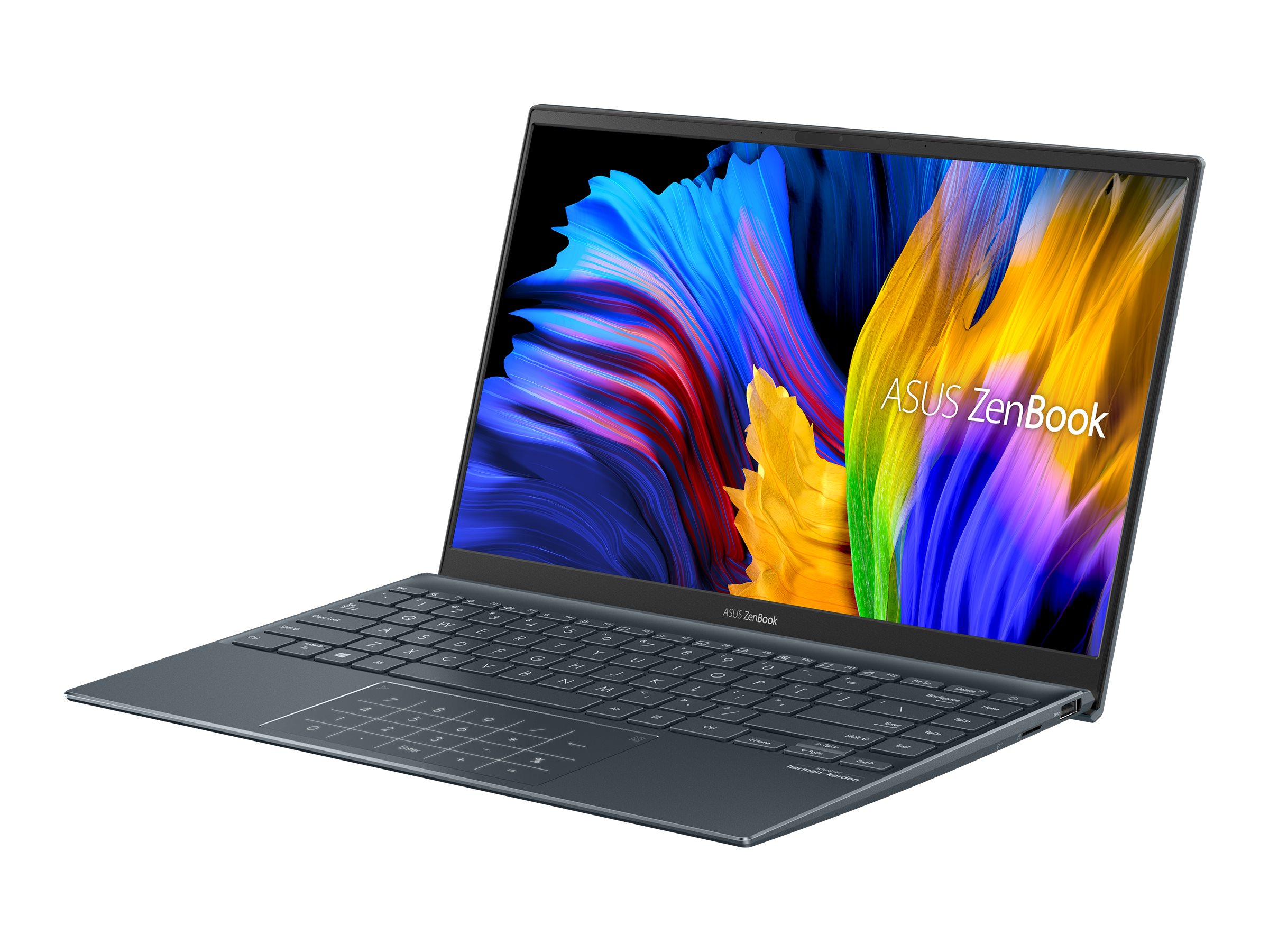 ASUS ZenBook 14 UM425UAZ-AM042W