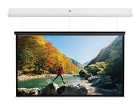 Da-Lite DescenderPro projection screen - 143" (363 cm)