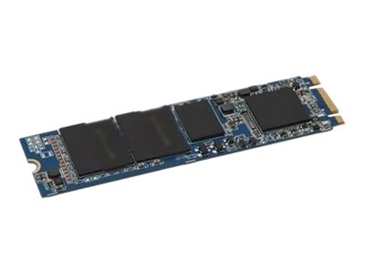 Dell - Solid state drive