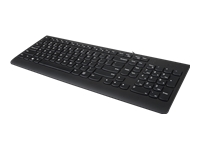 Lenovo 300 - Keyboard - USB - US