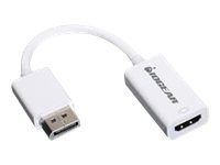IOGEAR - DisplayPort adapter