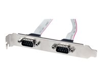 StarTech .com Support de port série DB9 16 pouces à 2 ports vers en-tête 10 broches
