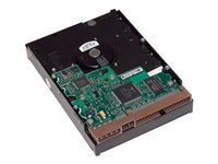 HP Options HP LQ036AA