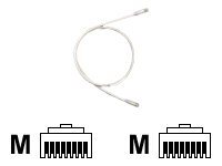 Panduit TX6 PLUS - Patch cable