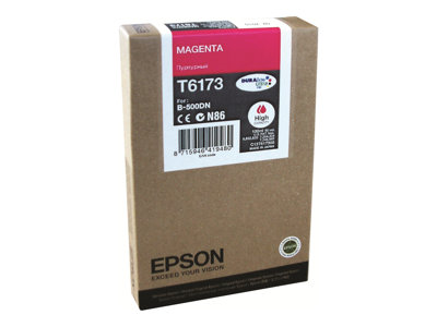 Epson T6173 - High Capacity