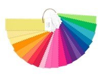PANTONE FASHION + HOME nylon brights set Printer color management ki