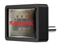 SanDisk Extreme Fit 64GB USB-C 3.2 Gen 1 USB stick Sort