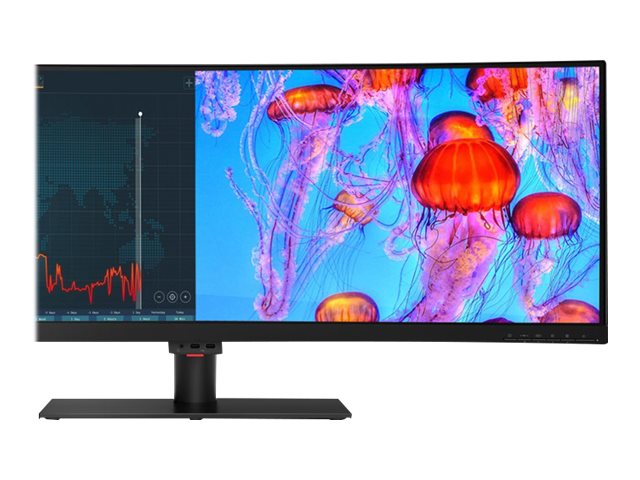Lenovo ThinkVision P44W-10 43.4型ウルトラワイド ThinkVision P44w-10 Monitor - Overview and Service Parts