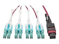 Eaton Tripp Lite Series 40G MTP/MPO to 4xLC Fan-Out OM4 Plenum-Rated Fiber Optic Cable, 40GBASE-SR4, Push/Pull Tabs, Magenta, 2 m - patch cable - 2 m - magenta