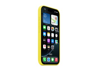 APPLE iPhone 16 Pro Sil Case Mgs Star - MYYQ3ZM/A