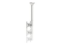NEOMOUNTS FPMA-C100 ceiling mount