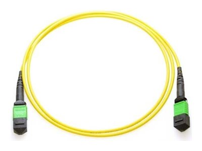 Axiom - Trunk cable - TAA Compliant
