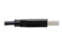 EATON TRIPPLITE USB-C to USB-A Cable M/M