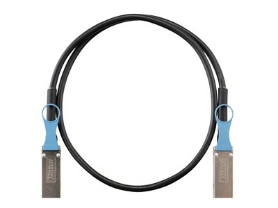 Panduit - Direct attach cable