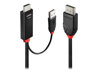 LINDY HDMI an DisplayPort Adapterkabel 1m - 41498