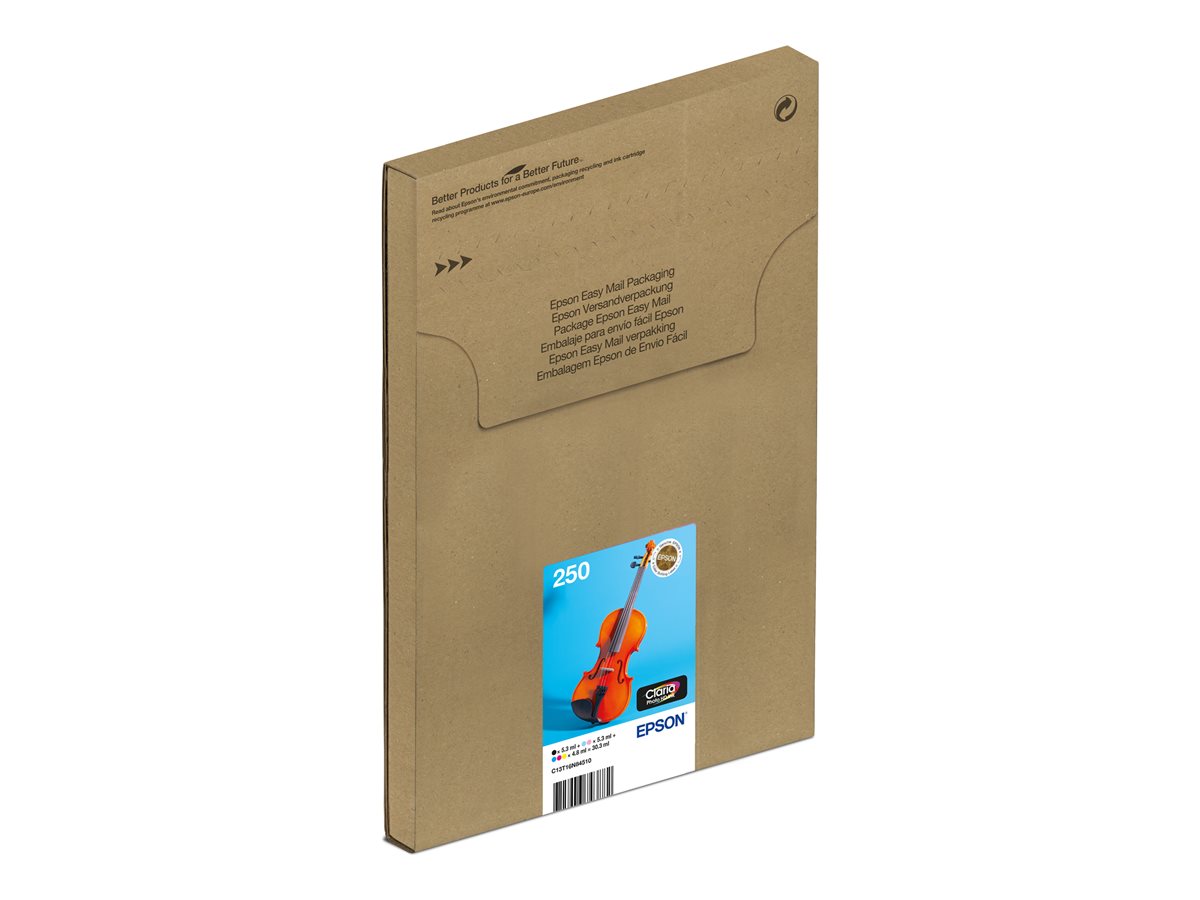 Epson 250 Multipack...