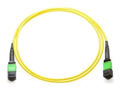 Axiom - Trunk cable - TAA Compliant