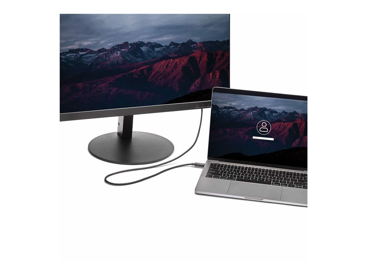 STARTECH 2m 1.8m/6 ft USB-C to DVI Cable – foto 10