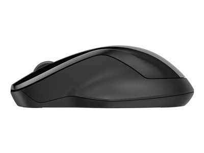HP 250 Dual Mode Wireless Mouse (P)