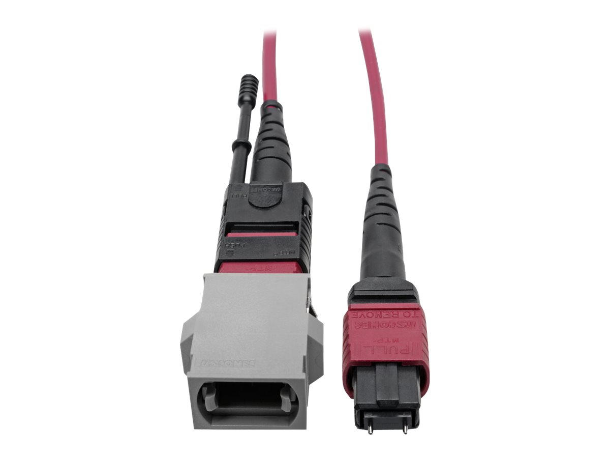 Tripp Lite MTP/MPO Parallel Optics Base-8 Migration Fiber Adapter, Polarity C to B, 12 Fiber, 40 GbE, OM4 M/F, Magenta, 8 in.