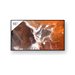 Sony Bravia Professional Displays FW-55BZ30P