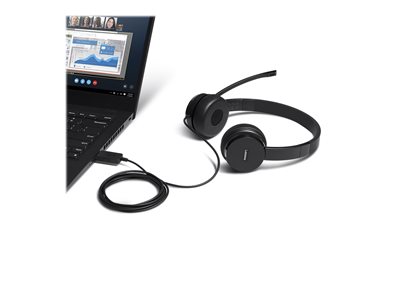 LENOVO 100 USB Stereo Headset - 4XD0X88524