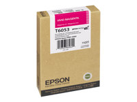 Epson Cartouches Jet d'encre d'origine C13T605300