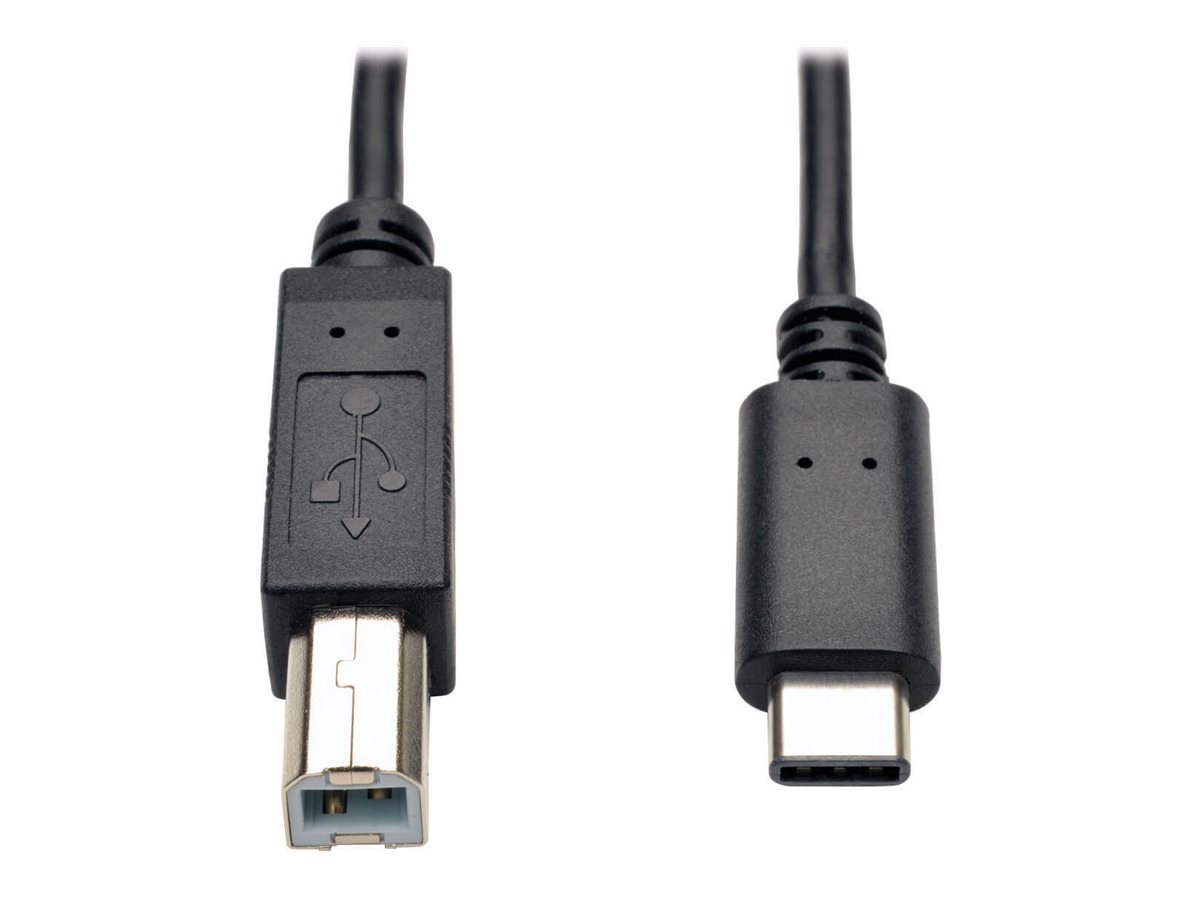 Tripp Lite 6ft USB 2.0 Hi-Speed Cable B Male to USB Type-C USB-C Male 6'