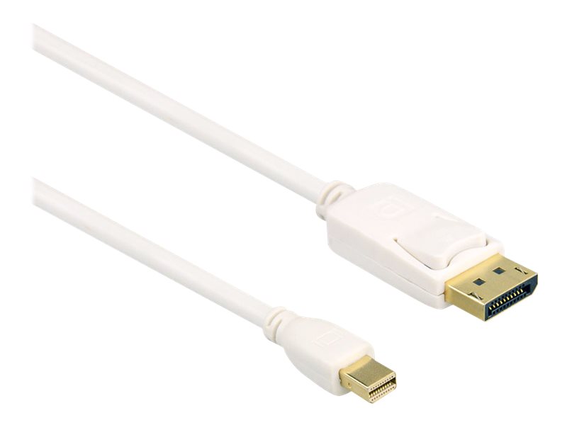 Axiom - DisplayPort cable