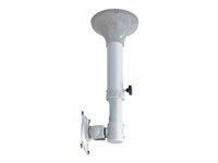 NEOMOUNTS FPMA-C025SILVER Ceiling Mount