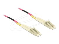 DeLOCK Netværkskabel Fiberoptik OM4 100m