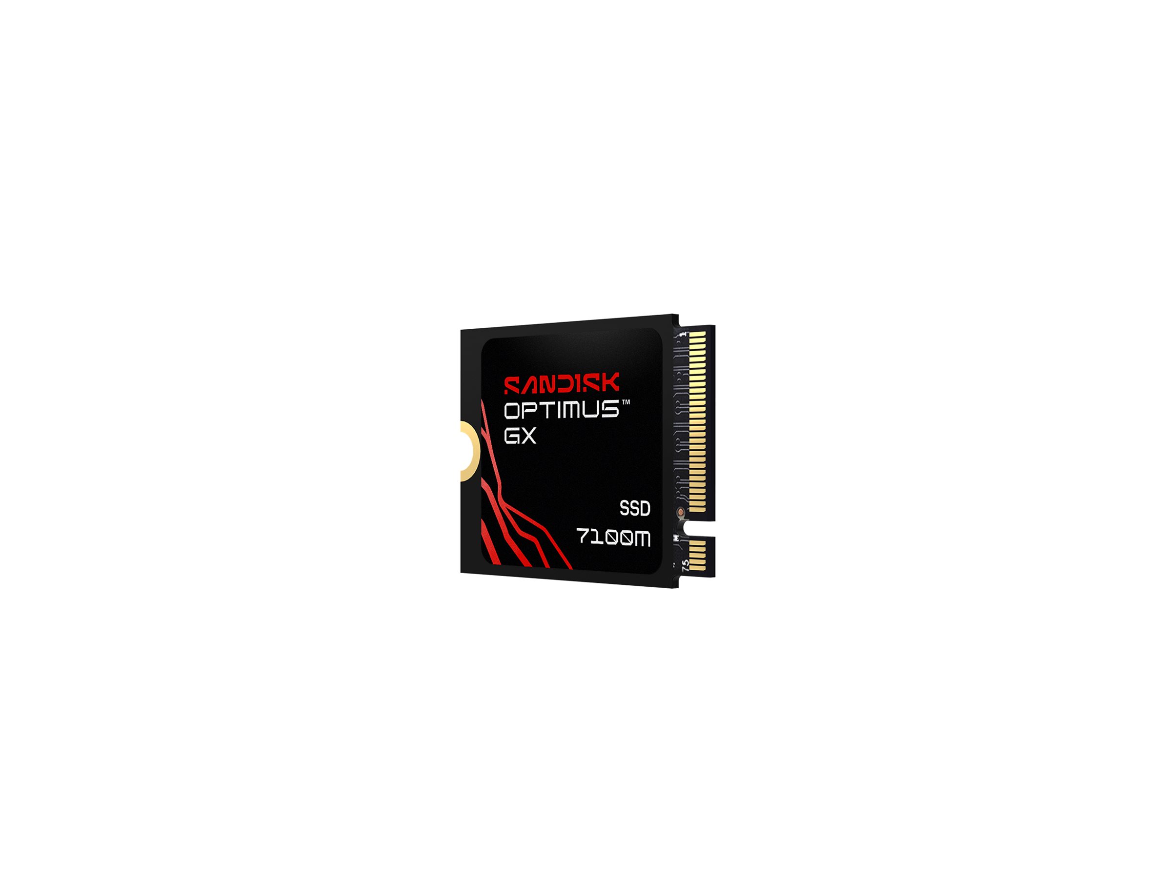 SanDisk Optimus GX 7100M