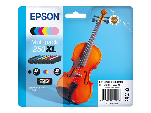 EPSON Multipack 6-colours 250XL Ink C13T16P84010