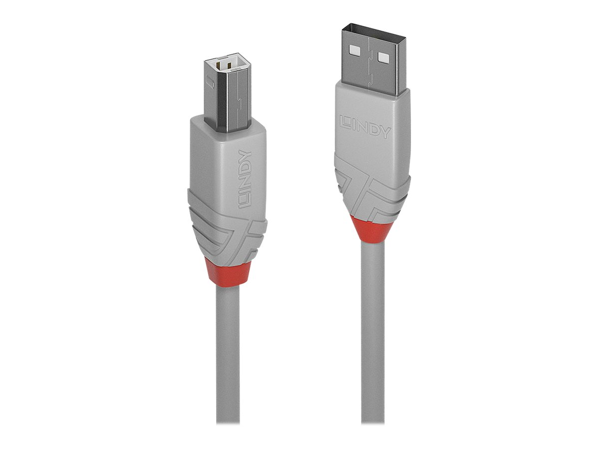 C ble USB 2.0 type A vers B, Anthra Line, Gris, 3m