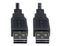 Eaton Tripp Lite Series Universal Reversible USB 2.0 Cable (Reversible A to Reversible A M/M), 10 ft. (3.05 m)