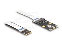 DeLOCK Interfaceadapter