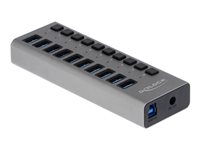 Delock External SuperSpeed USB Hub with 10 Ports + Switch