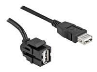 DeLOCK USB 2.0 USB-kabel 30cm Sort