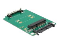DeLOCK Converter Micro SATA 16 Pin > mSATA full size Lagringskontrol
