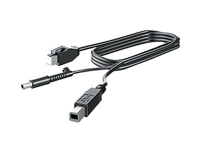 HP 300cm DP+Y CABLE L701xt