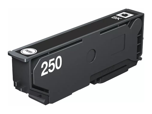 EPSON Singlepack Black 250 ink C13T16N14020