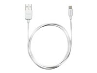 Lightning cable - Lightning male to USB male - 1 m