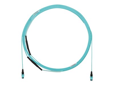 Panduit - Trunk cable