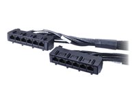 APC network cable - TAA Compliant - black