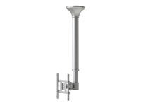NEOMOUNTS FPMA-C100 ceiling mount