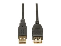 Eaton Tripp Lite Series USB forlængerkabel 4.88m Sort