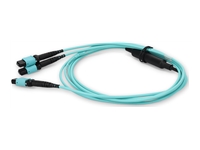 AddOn - Câble croisé en éventail - MPO-16/PC multi-mode (F) pour MPO/PC multi-mode (F) - 2 m 