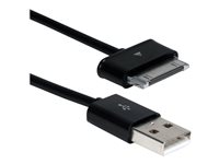 QVS Charging / data cable USB male to Samsung 30-pin Dock Connector male 10 ft black 