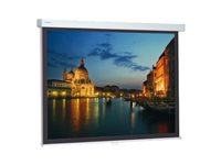 Projecta ProScreen projection screen - 111" (283 cm)